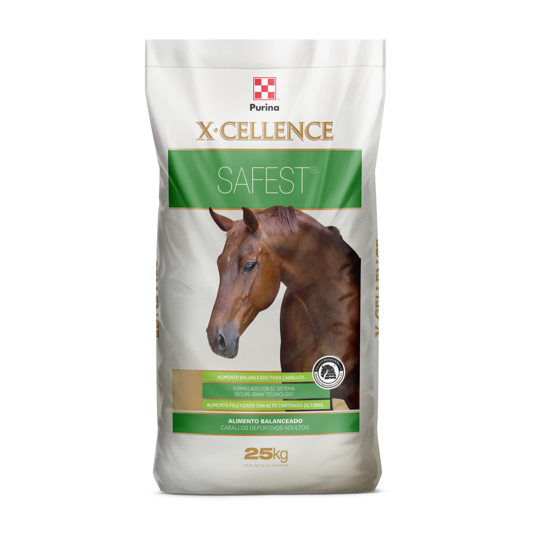 xcellence-safest-horse-nation