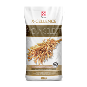 X-CELLENCE AVENA SELECT
