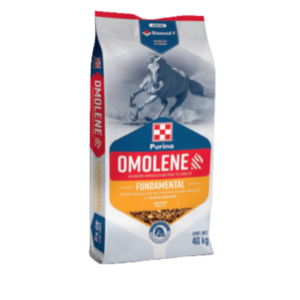 OMOLENE FUNDAMENTAL